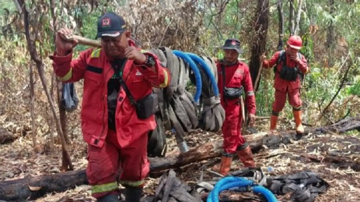 Setelah lebih dari sepekan berjibaku memadamkan api karhutla Tim Manggala Agni Balai Pengendalian Kebakaran Hutan Wilayah Sumatera di Riau mulai berkemas meninggalkan lokasi setelah menuntaskan operasinya di Pulau Bengkalis, Jumat (10/4/2026).(Istimewa)