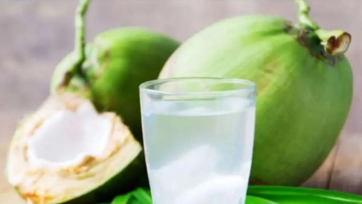 Ilustrasi air kelapa, menghilangkan dahaga saat cuaca panas. (Freepik)   