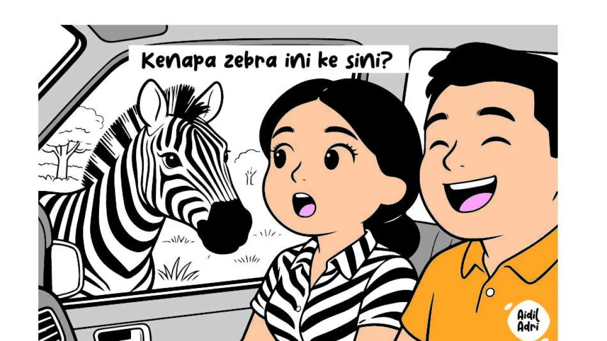 ALAMAAAK!!! Baju Zebra!
