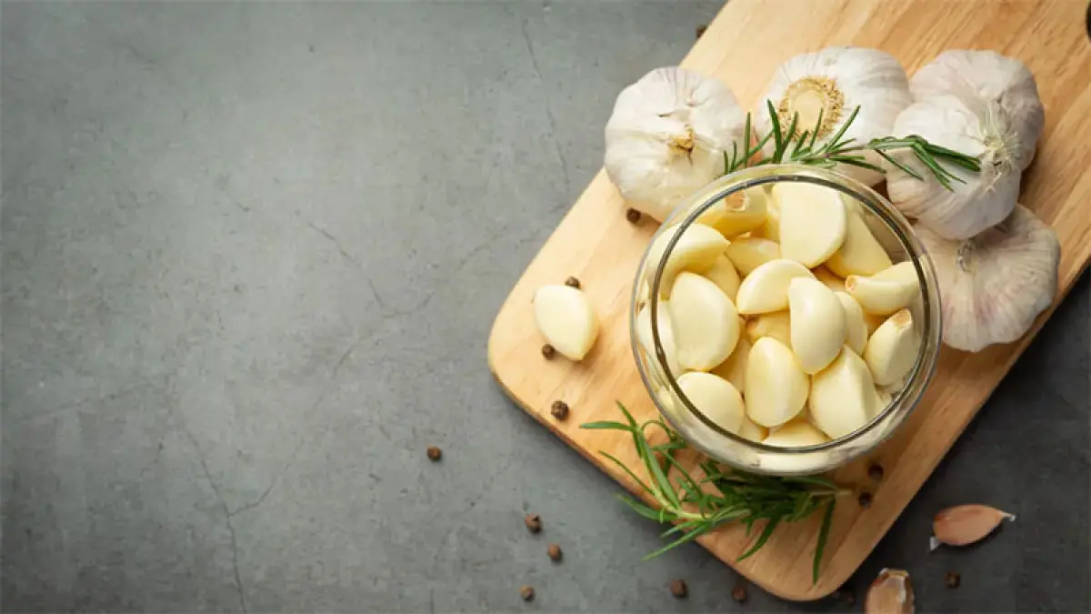 ilustrasi bawang putih. Sumber foto: Freepik

