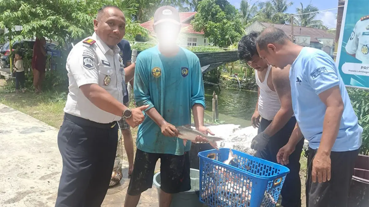 Kalapas Bengkalis bersama WBP melakukan penimbangan ikan patin hasil panen raya dalam rangka pembinaan WBP, Kamis (16/4/2026). (ISTIMEWA)
