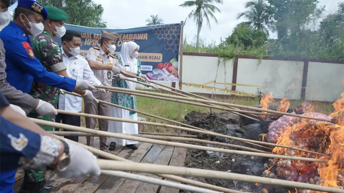 Puluhan ton komoditas ilegal hasil tangkapan dimusnahkan dengan cara dibakar di Kantor Karantina Kecamatan Tembilahan Hulu yang dihadiri Wakil Bupati Inhil, Yuliantini, Kamis (16/4/2026).(Istimewa)