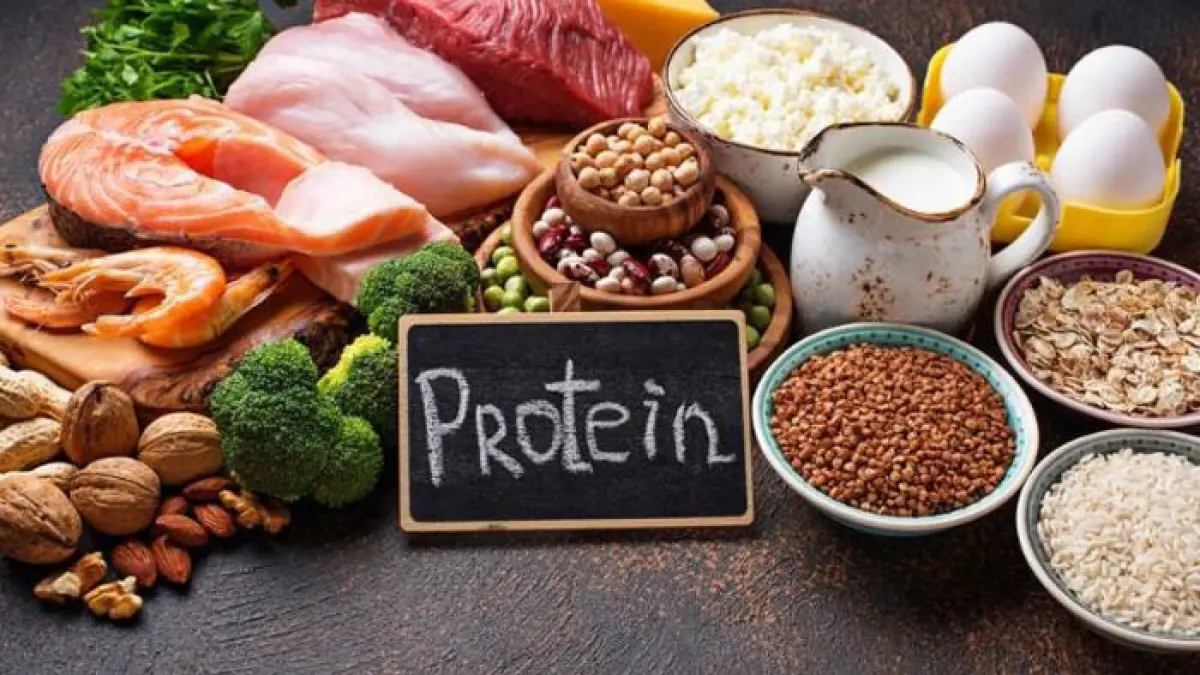 Ilustrasi makanan tinggi protein. (Freepik)