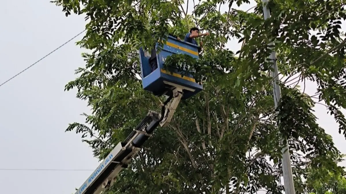 Petugas Dishub tampak tengah melakukan perbaikan dengan melakukan perbaikan kabel atau pergantian kabel LPJU di Jalan SM Amin Pekanbaru, Senin (20/4/2026). (Dishub Pekanbaru)