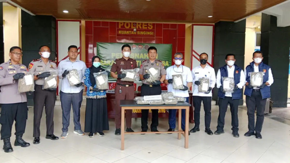 Wakapolres Kuansing Kompol Nardy Masry SH bersama perwakilan Kejari, PN Teluk Kuantan, Kapolsek Benai Ipda M Ali Sodiq memperlihatkan barang bukti ganja  hasil penangkapan dalam konferensi pers, Senin (27/4/2026). (Desriandi Candra/Riaupos.co)