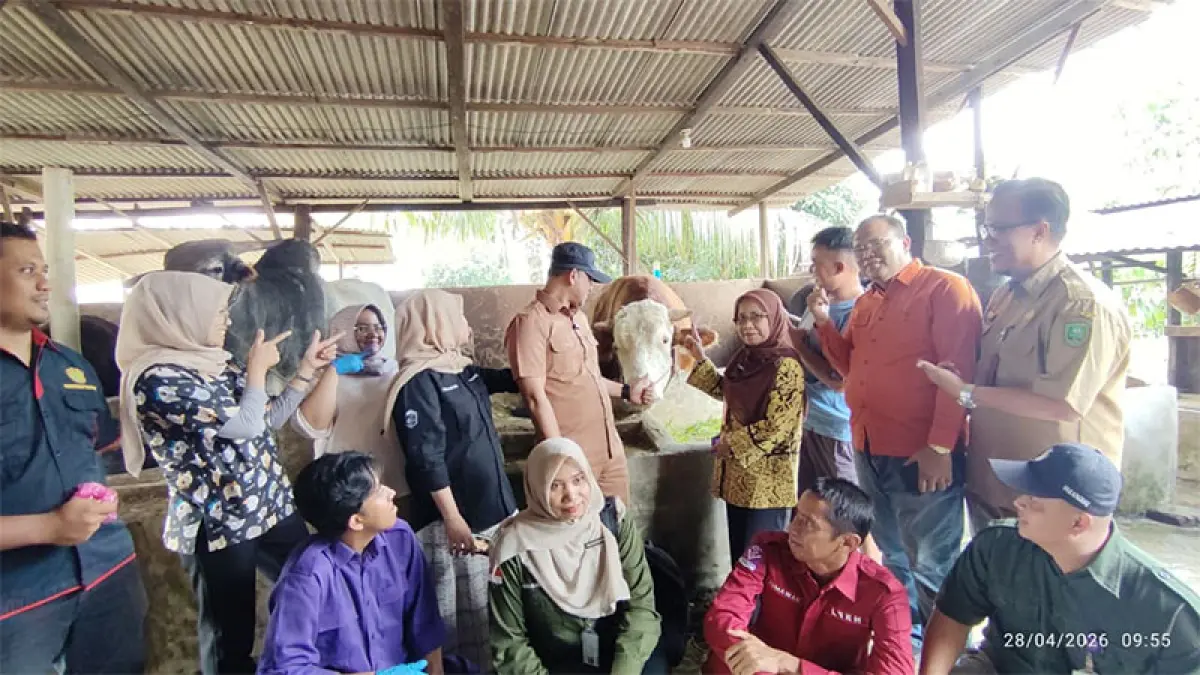 Kepala Disbunnakkan Inhu, Endang Mulyawan didampingi Kepala DPKH Riau, Mimi Yuliani Nazir dan Franto Kukuh Sulahirio foto bersama usai cek kondisi Bule, Selasa (28/4/2026). Foto Raja Kasmedi