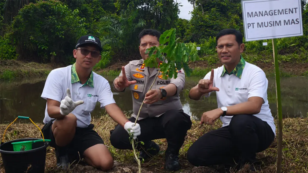 GM PT Musim Mas Jerry didampingi Manager Humas Malinton Purba, bersama Kapolres Pelalawan AKBP John Louis Letedara SIK melakukan penanaman pohon di Kecamatan Pangkalan Kuras, Rabu (29/4/2026). (M AMIN AMRAN)
