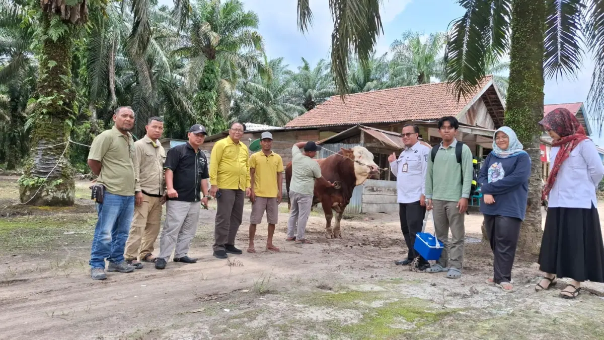 Kabid Peternakan Disbunnakkan Inhu, Mufrizal ST (empat dari kanan) bersama staf saat mendampingi tim provinsi ketika meninjau sapi milik Nurman di Desa Pontian Mekar Kecamatan Lubuk Batu Jaya.(Disbunnakkan Inhu untuk Riaupos.co)