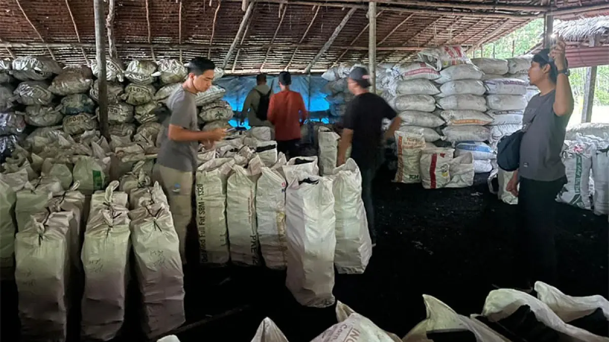 Tim dari Unit 4 Subdit IV Ditreskrimsus Polda Riau saat mengamankan arang bakau hasil pembabatan hutan mangrove di wilayah pesisir Riau. (ISTIMEWA)
