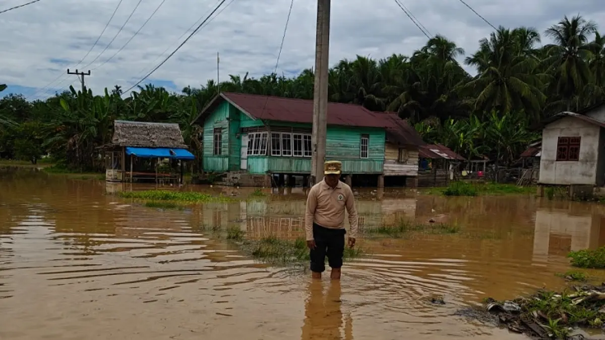 Camat Pangean Aswandi meninjau banjir luapan suangai Kuahtan Kuantan di Desa Pulau Kumpai Pangean, Kamis (14/5/2026) pagi. (Kecamatan Pangean)