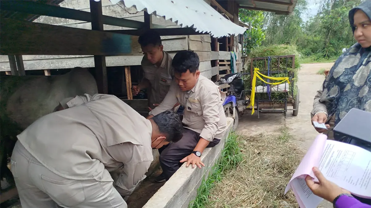 Pengecekan kelayakan hewan kurban &nbsp;yang dilakukan oleh petugan gabungan jelang Hari Raya Iduladha 1447 Hijriah. (Wira Saputra)