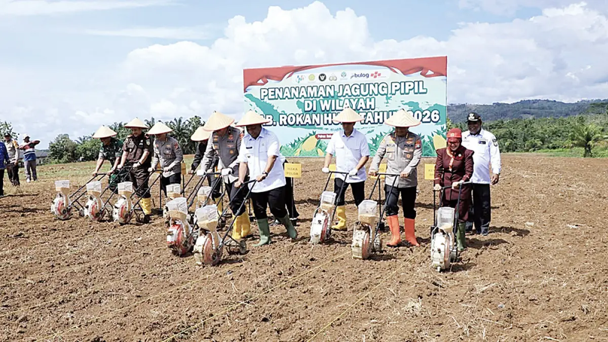 Bupati Rohul Anton (tengah) bersama Wakapolda Riau Brigjen Hengki Haryadi dan forkopimda menanam jagung pipil di Km 7 Desa Rambah Samo, Kecamatan Rambah Samo, Rabu (20/5/2026). (Dinas Kominfo Rohul untuk Riau Pos)