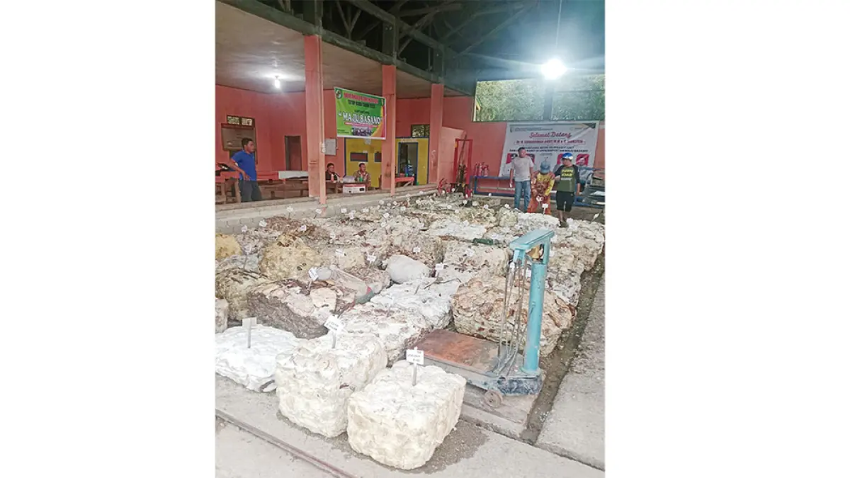 Lelang karet petani di Gapoktan Maju Basamo Kopah, Kecamatan Kuantan Tengah, Senin (18/5/2026). (Gapoktan Maju Basamo untuk Riau Pos)