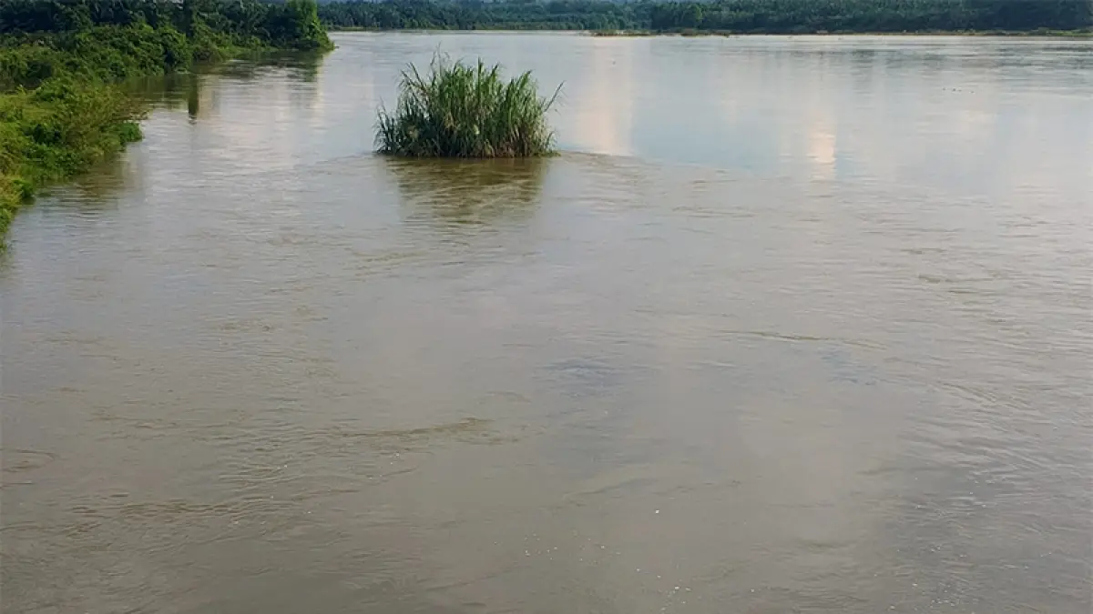 Masyarakat diminta meningkatkan kewaspadaan terhadap kondisi air Sungai Kampar yang saat ini masih tinggi dan berarus deras, Kamis (21/5/2026).Kamaruddin/Riaupos.co
