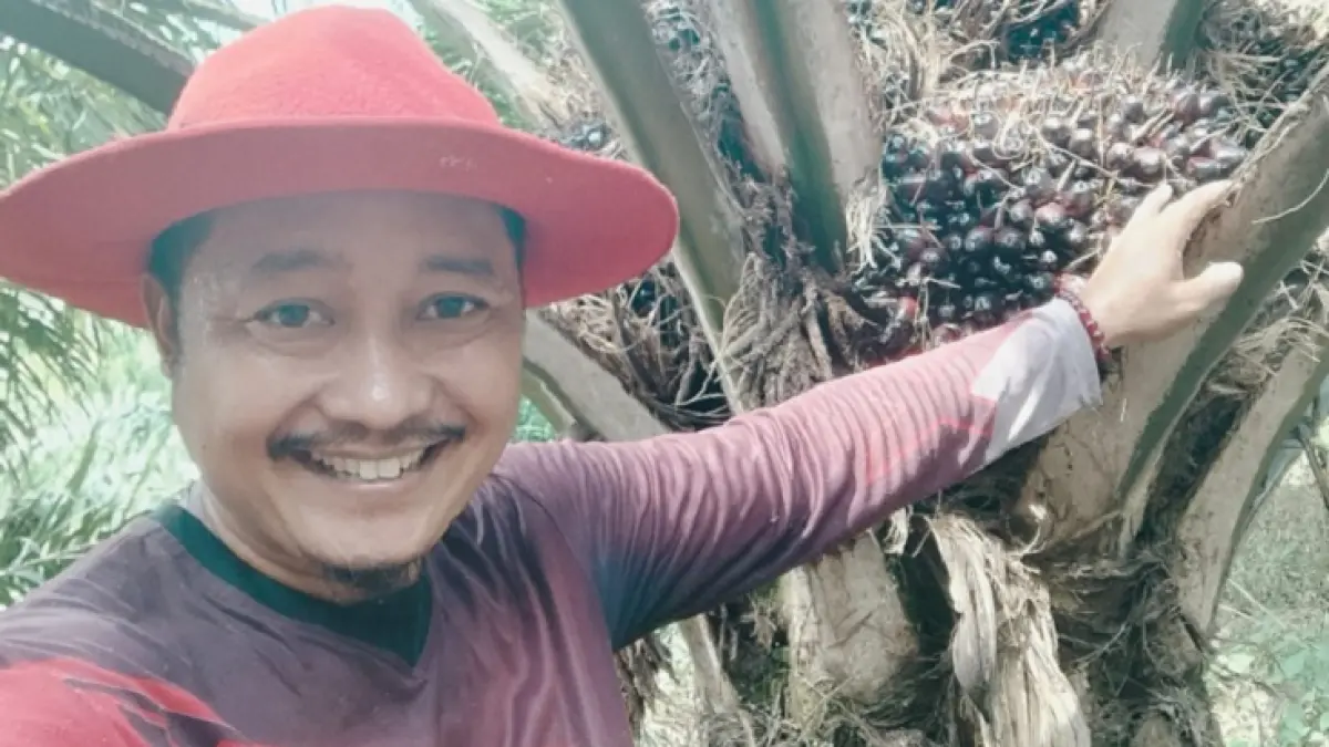 aryono salah seorang petani sawit di Kuansing saat meninjau kebun sawitya, Sabtu (22/5/2026). (Desriandi Candra/Riaupos.co)