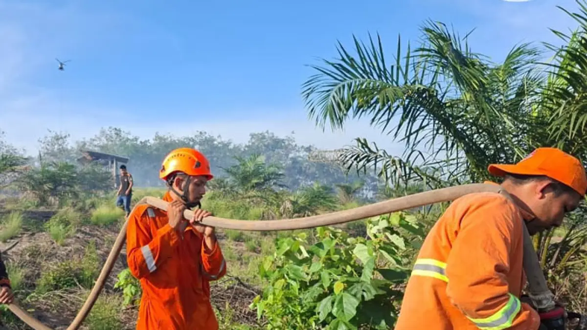 BPBD Kampar berupaya memadamkan kebakaran lahan perkebunan karet dan sawit di Desa Ranah Singkuang, Kecamatan Kampar, Sabtu (23/5/2026). (BPBD Kampar untuk Riaupos.co)