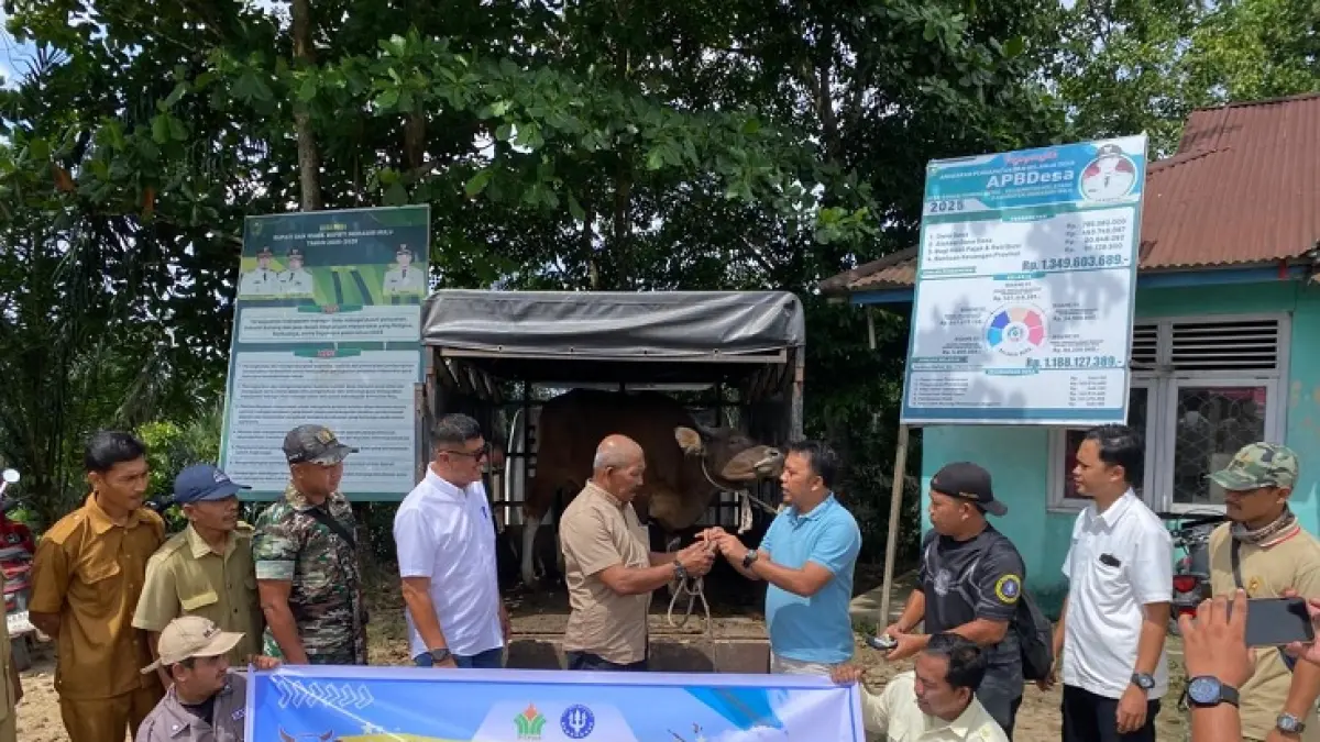 PT Jaya Wira Manggala Pekanbaru menyalurkan bantuan satu ekor sapi kurban kepada masyarakat Desa Sungai Kuning Binio, Kecamatan Kelayang, Kabupaten Indragiri Hulu, Senin (25/5/2026). (Istimewa)
