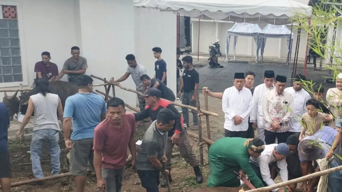 Pj Sekda Rohul H Yusmar (tengah) menyaksikan penyembelihan hewan kurban usai melaksanakan Salat Iduladha tingkat kabupaten yang dipusatkan di Masjid Agung Islamic Center Rohul, Rabu (27/5/2026). (Engki Prima Putra/Riaupos.co)
