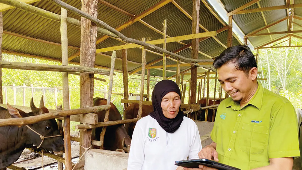 Ketua Kelompok Ternak Ingin Maju Zaharatul Aini atau Ratil berbincang bersama Tim Community Development RAPP saat kegiatan pendampingan di kandang koloni ternak sapi Desa Koto Benai, Kecamatan Benai, Kabupaten Kuantan Singingi. (RAPP UNTUK RIAU POS)