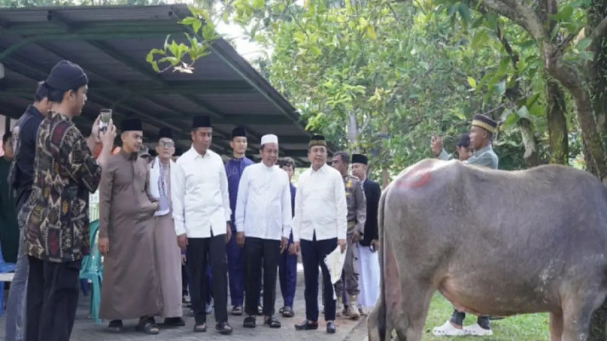 Bupati Kampar Ahmad Yuzar melihat hewan kurban sebelum penyembelihan di Masjid Islamic Center Bangkinang, Rabu (27/5/2026). (Diskominfo Kampar untuk Riaupos.co)