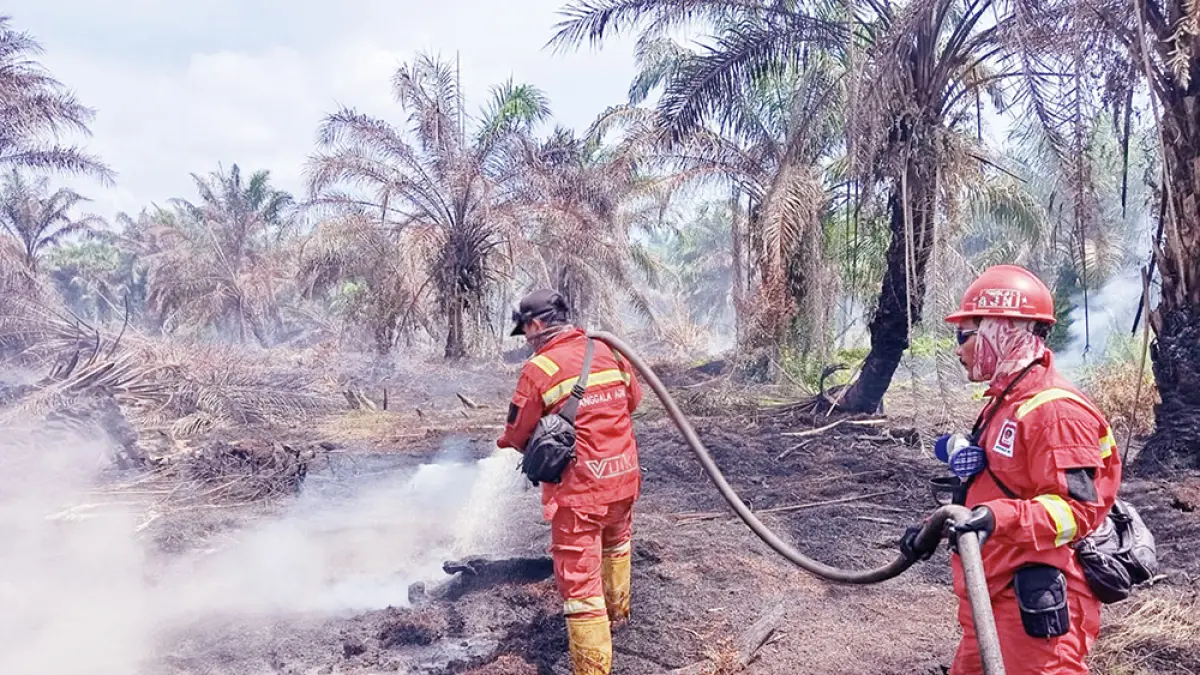 Tim Manggala Agni memadamkan api yang membakar lahan di Kabupaten Siak, Kamis (28/5/2026). (Manggala Agni untuk Riau Pos&nbsp;)