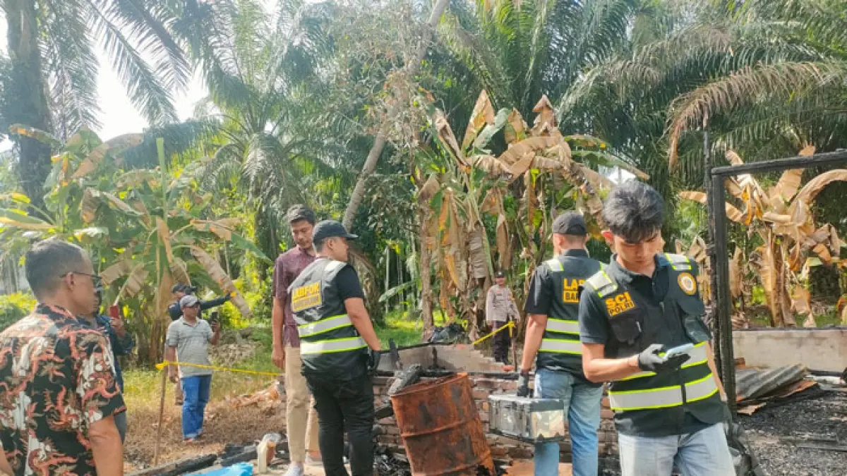 Tim Opsnal Unit Reskrim Polsek Bukit Batu sudah menetapkan satu orang tersangkanya dan melakukan olah TKP pada, Jumat (29/5/2026).(Istimewa)