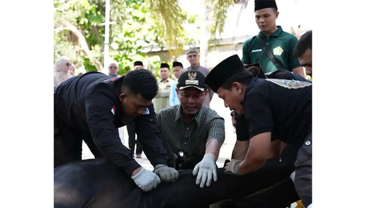 Wako Pekanbaru Agung Nugroho saat penyembelihan hewan kurban di Rumah Dinas Jalan Ahmad Yani, Rabu (27/5/2026). (ISTIMEWA)