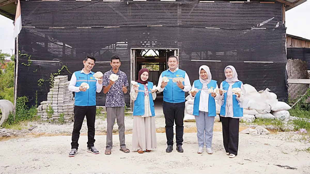 Jamur yang sudah panen di tempat budidaya jamur tiram “Jamur Betuah” diperlihatkan oleh para anak muda.
