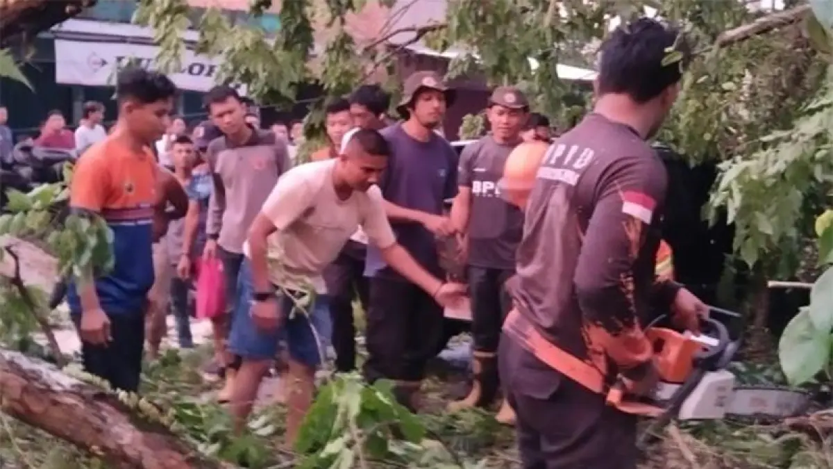 Tim BPBD Kampar bersama warga membersihkan pohon tumbang di Jalan Lintas Pekanbaru–Air Tiris, Desa Tanjung Berulak, Jumat (29/5/2026). BPBD untuk Riaupos co
