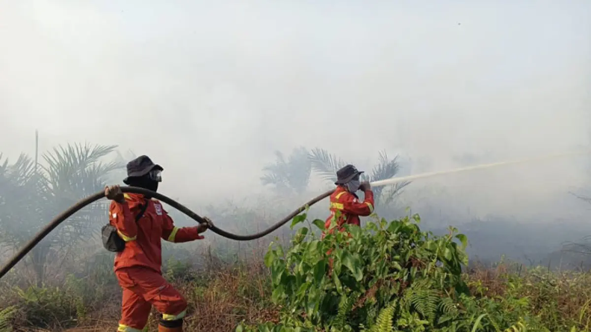 Petugas Manggala Agni melakukan pemadaman di lokasi karhutla di kepenghuluan Rantau Bais, Rohil, Ahad (31/5/2026). ( Manggala Agni untuk Riaupos.co)
