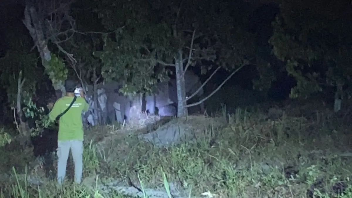 Petugas melakukan pengusiran kawanan gajah liar yang memasuki kawasan perkebunan warga di wilayah Muara Fajar, Kecamatan Rumbai, Sabtu (30/5/2026) malam. (Damkar kota Pekanbaru)