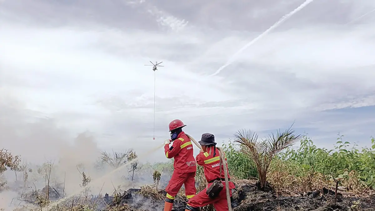 Personel Manggala Agni Daops V/Dumai memadamkan api yang membakar lahan di wilayah Rantau Bais, Kabupaten Rokan Hilir, Senin (1/6/2026). Tim bekerja sejak pagi untuk menekan perkembangan api sebelum cuaca menjadi lebih ekstrem. (Manggala Agni Daops V/Dumai untuk Riau Pos)
