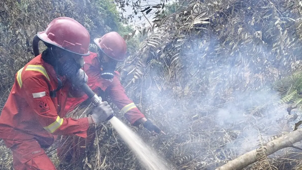 Kegiatan pemadaman karhutla di salah satu lokasi kejadian, baru-baru ini. (Dok Manggala Agni untuk Riaupos.co)