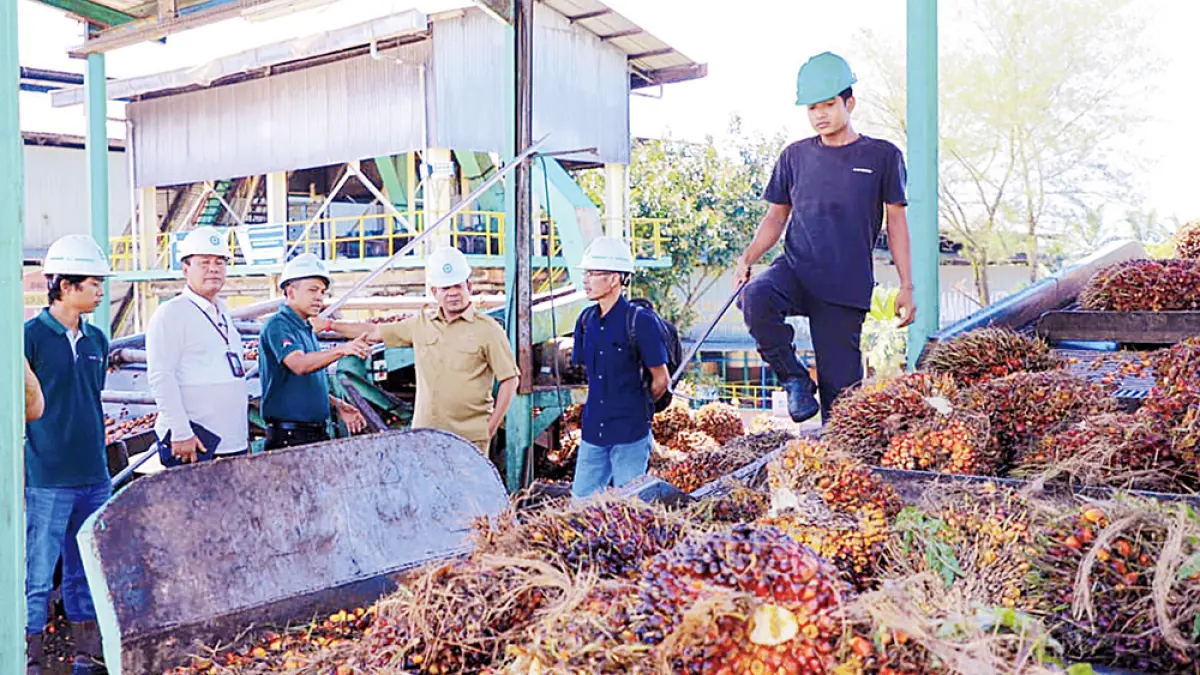 INSPEKSI MENDADAK: Wabup Rohul H Syafaruddin Poti didampingi Kepala OPD terkait melakukan inspeksi mendadak ke PKS PT SAI Kecamatan Rambah Samo dalam rangka monitoring pembelian harga TBS yang masih di bawah ketetapan harga Disbun Riau, Selasa (2/6/2026). (FOTO DINAS KOMINFO ROHUL UNTUK RIAU POS)
