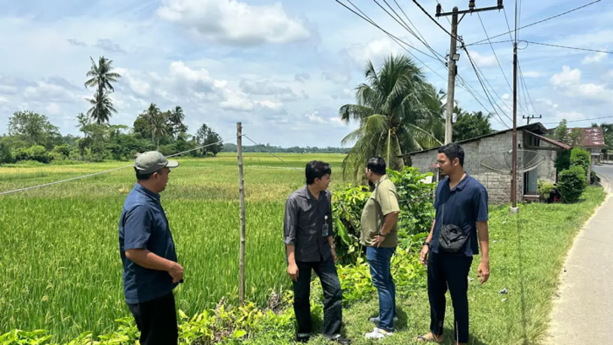 Tim Bulog Kantor Cabang Rengat melakukan peninjauan areal persawahan padi untuk memastikan ketahanan pangan nasional, Rabu (3/6/2026). (Bulog Cabang Rengat untuk Riaupos.co)