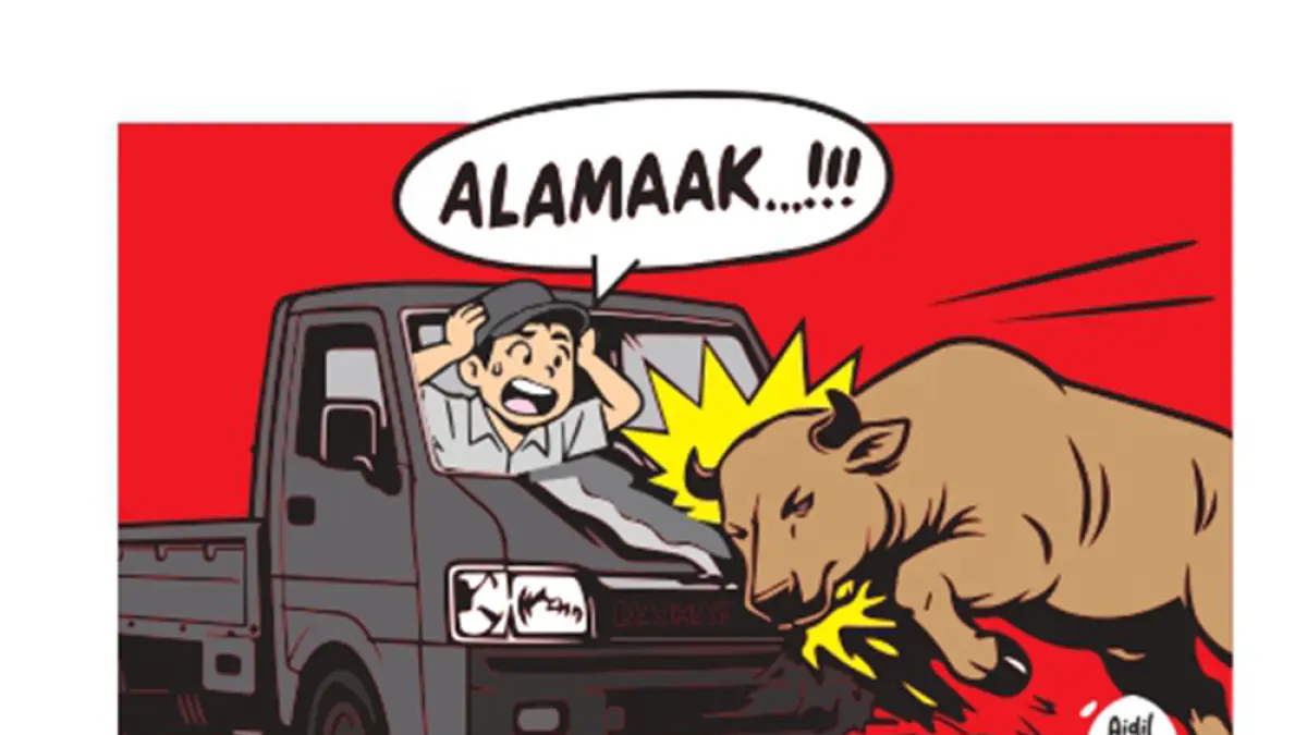 ALAMAAAK!!! Ditabrak Sapi!
