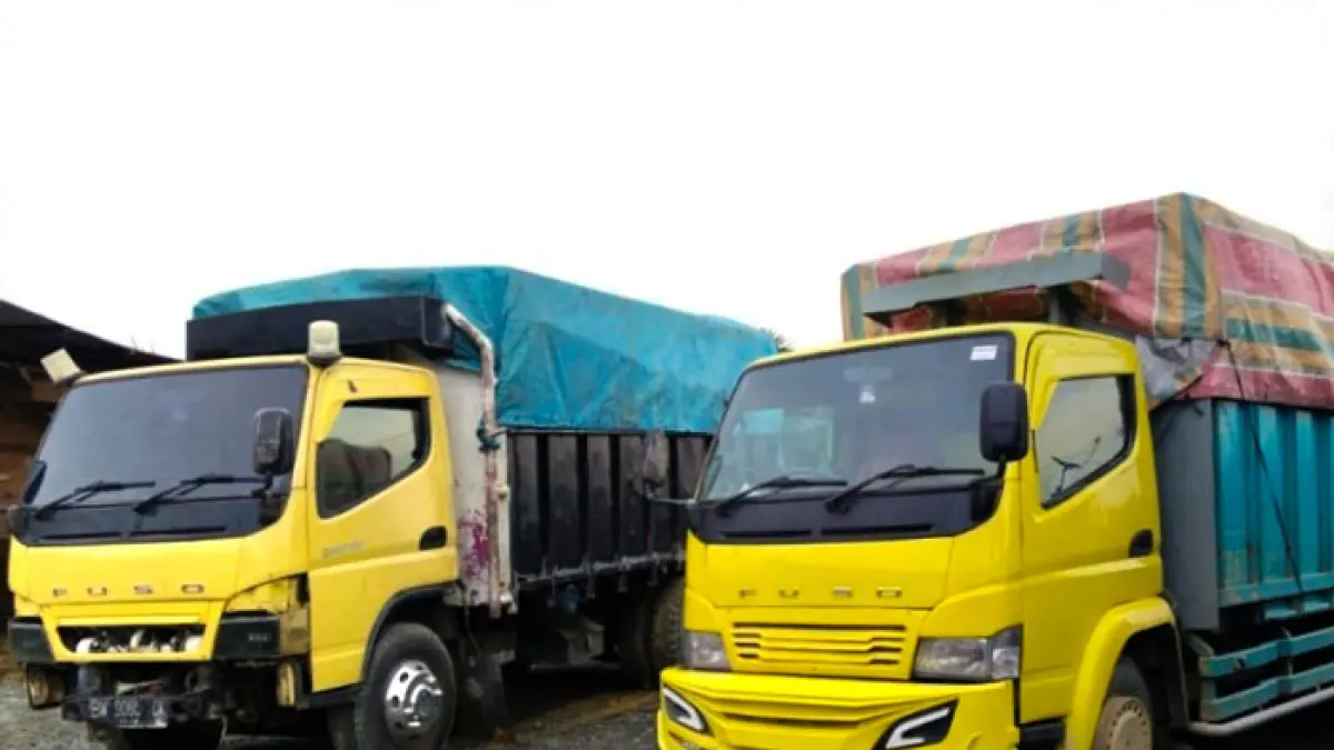 Dua unit Colt Diesel bermuatan kayu alam yang diduga berasal dari aktivitas pembalakan liar di wilayah Kecamatan Bunut, Kabupaten Pelalawan diamankan Polsek Bubut, Kamis (4/6/2026). (Istimewa)