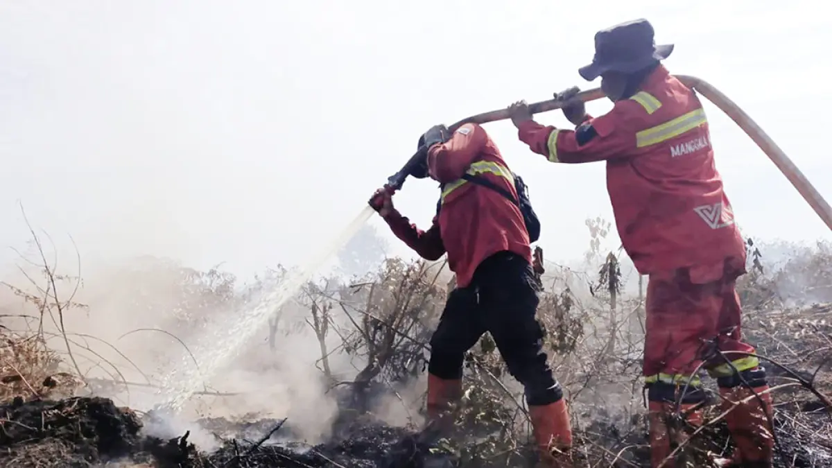 Personel Tim Manggala Agni berusaha memadamkan api yang membakar lahan di Rantau Bais, Rokan Hilir, Rabu (3/6/2026). (Manggala Agni&nbsp;untuk Riau Pos)