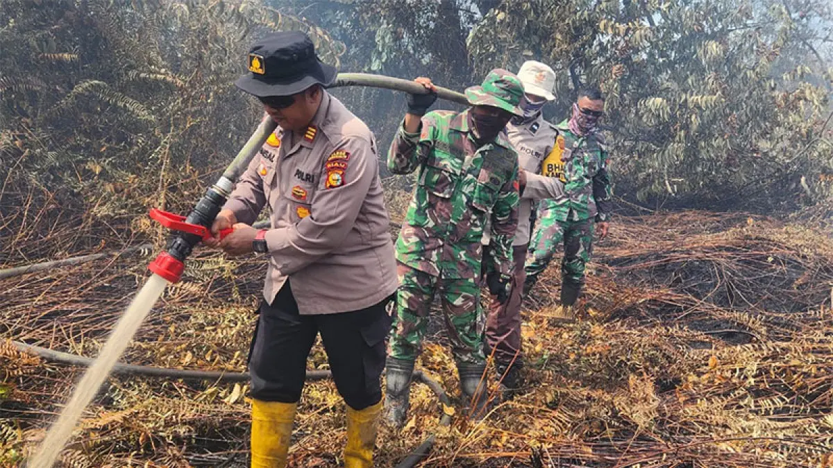 Kapolsek Rupat AKP Faisal bersama tim gabungan melakukan pendinginan di lokasi Karhutla di Kelurahan Tanjung Kapal Kecamatan Rupat, Kabupaten Bengkalis pada, Kamis (4/6/2026). (Istimewa)

