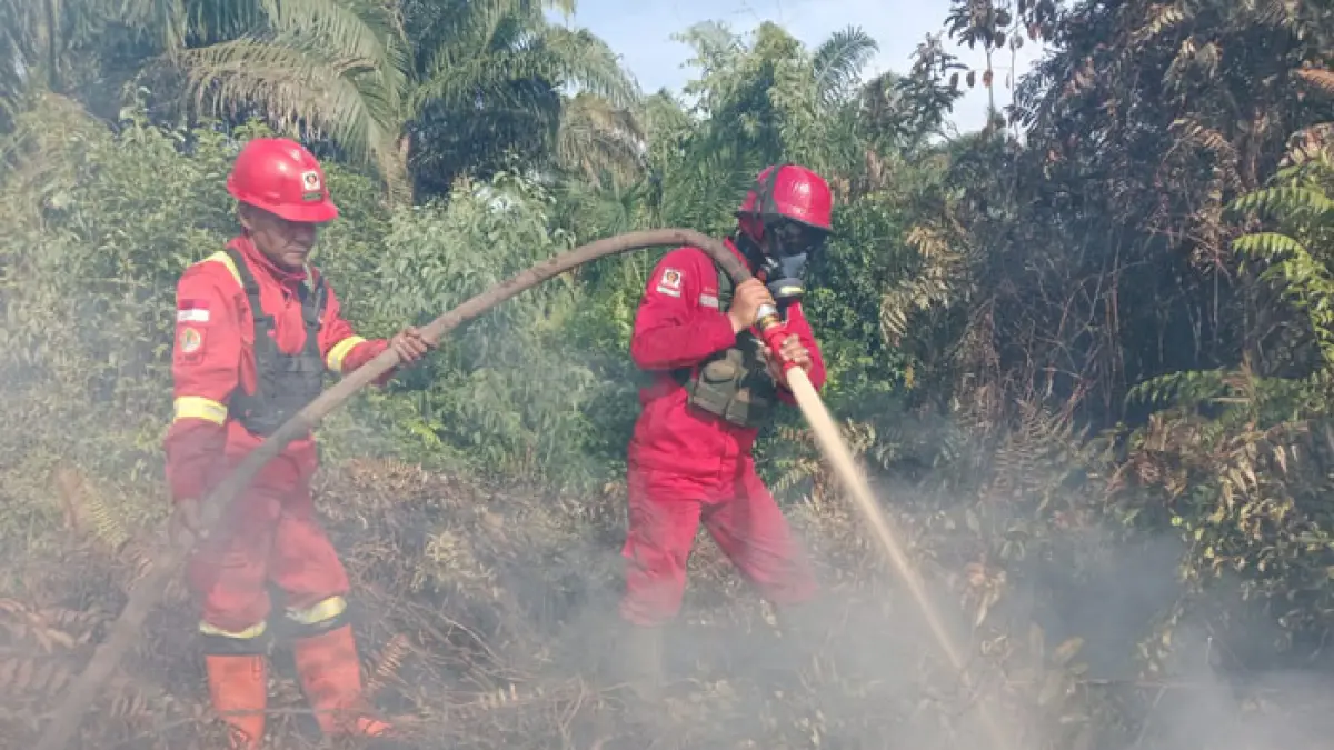 Kegiatan pemadaman karhutla di lakukan petugas dari Manggala Agni. (Manggala Agni untuk Riaupos.co)