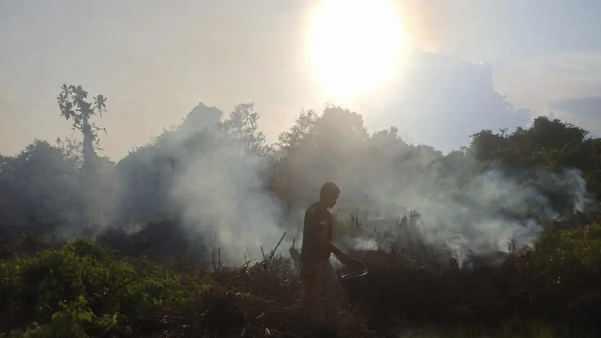 Petugas sedang melakukan pemadaman dan pendinginan karhutla di Desa Sungai Luar, Kecamatan Batang Tuaka, Kabupaten Inhil, Sabtu (7/6/2026). (Istimewa)