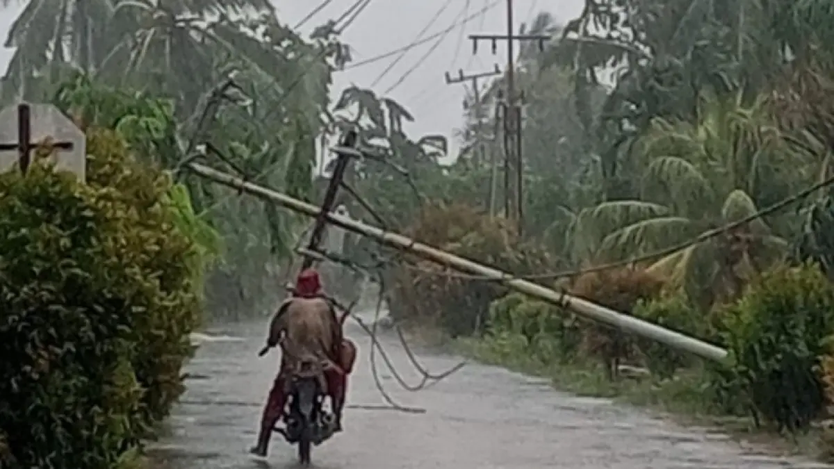 Tiang listrik PLN usai kejadian angin puting beliung di Desa Api-api Kecamatan Bandar Laksamana mengalami rusak dan timbang, Ahad (7/6/2026). (Istimewa)