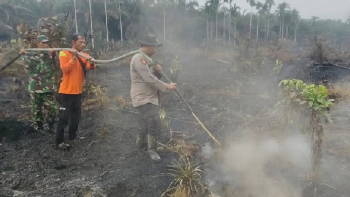 Petugas gabungan melakukan pemadaman dan pendinginan karhutla di Desa Teluk Jira, Kecamatan Tempuling, Kabupaten Inhil, Senin (8/6/2026).(Istimewa)