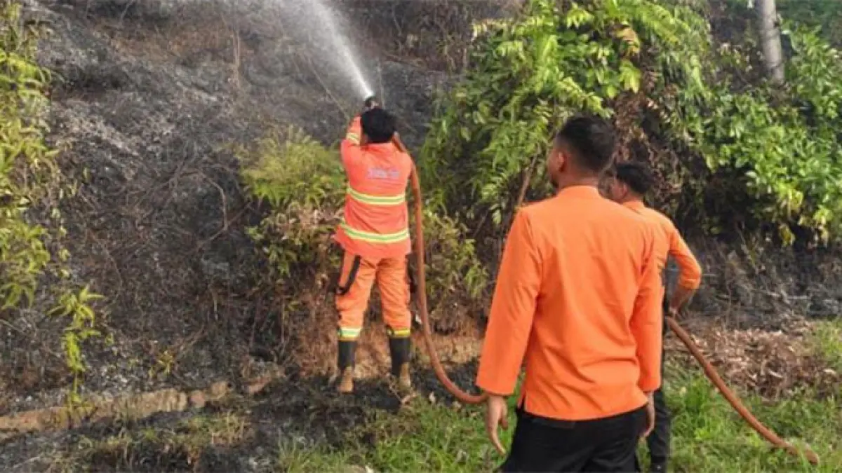 TRC Pusdalops-PB BPBD bersama unsur TNI, Polri, Dinas Pemadam Kebakaran melakukan pemadaman karhutla di perbatasan Desa Kumantan dan Desa Batu Belah, Selasa (9/6/2026) sore. BPBD untuk Riaupos.co