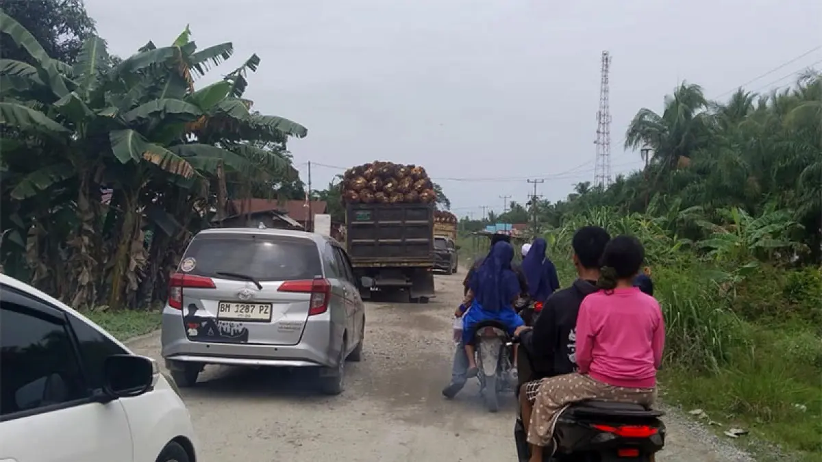 Truk mengangkut TBS sawit di jalan lintas Sinaboi-Bagansiapiapi, baru-baru ini. (Zulfadhli)