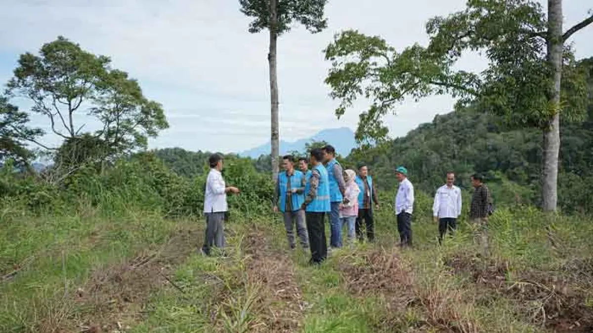 Jajaran PT PLN (Persero) UIP Sumbagteng meninjau lahan pertanian masyarakat di Nagari Nan Limo, Kecamatan Palupuh, Kabupaten Agam, Sumatera Barat, Rabu (10/6/2026).