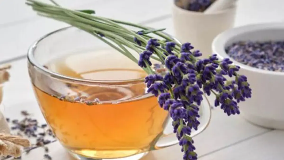 Ilustrasi teh bunga lavender. (Freepik)