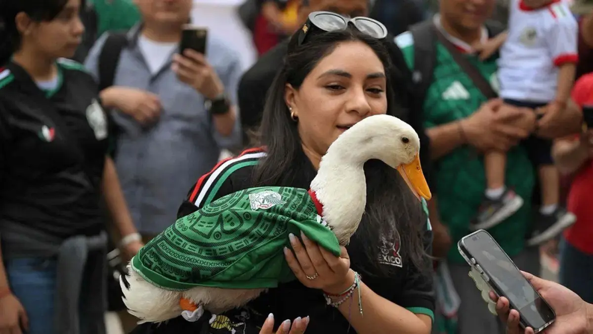 Seekor bebek bernama Marlin milik Karla Gomez viral di Meksiko. (@CGTNOfficial/X)