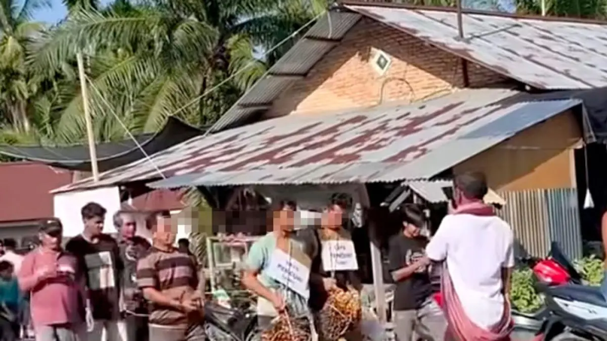 Dua terduga pencuri TBS kelapa sawit diarak warga Desa Batas menuju Polsek Tambusai, Jumat (26/6/2026) pagi. (Istimewa)