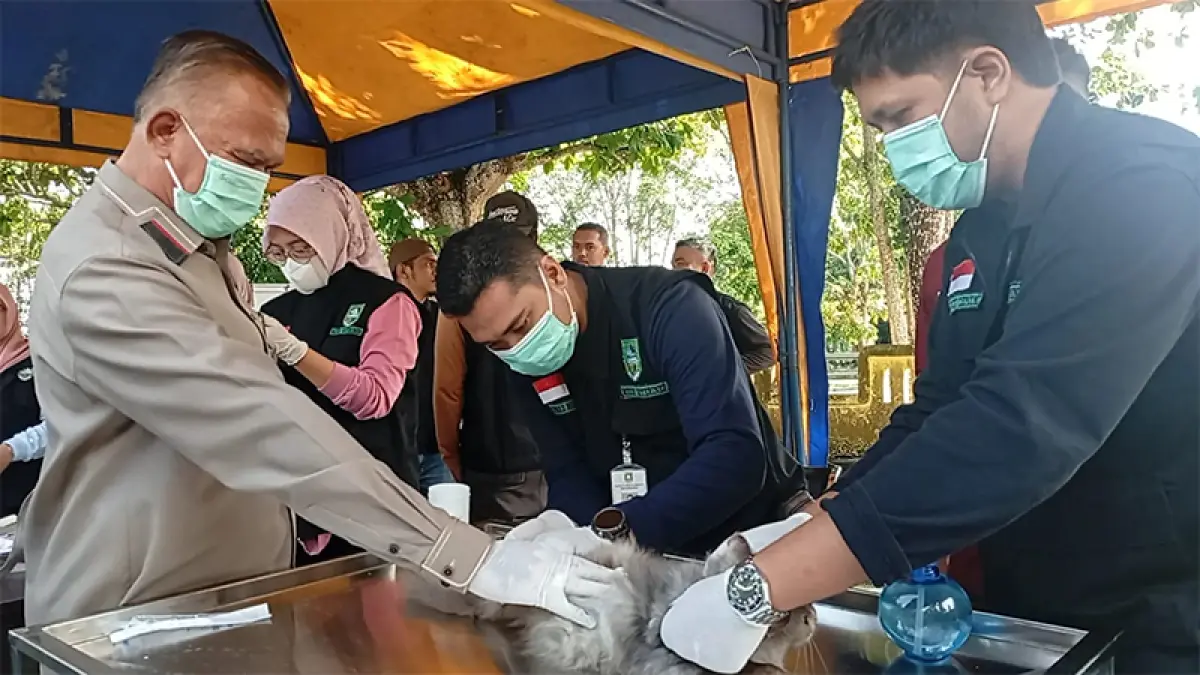 Petugas memberikan vaksinasi anti rabies kepada hewan peliharaan di Kantor Dinas Tanaman pangan, Holtikultura dan Peternakan Kabupaten Bengkalis, Kamis (2/7/2026). (Istimewa)